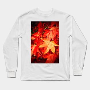 Autumn Acer Tree Westonbirt Arboretum Cotswolds Long Sleeve T-Shirt